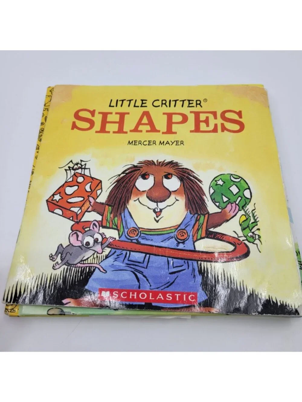 LITTLE CRITTER Lot of Children's Books by Mercer Mayer - BB232